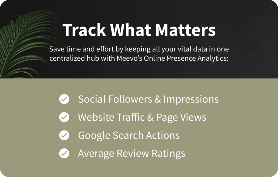 03-meevo-online-presence-analytics-dashboard