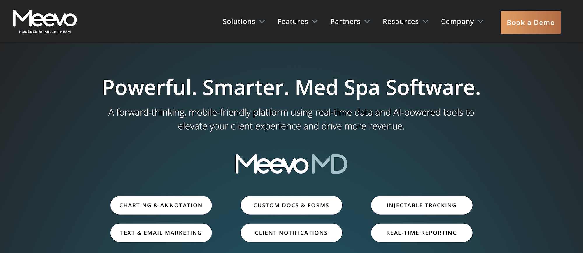 Meevo Med Spa Software landing page