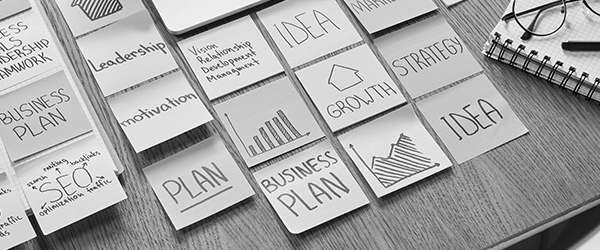 Business Plan
